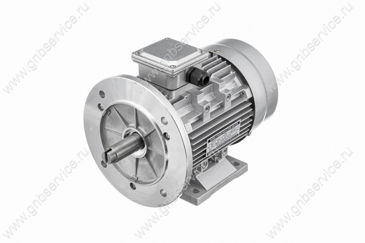 Двигатель электромаслостанции ПРОСВАР С 400/450/500/630